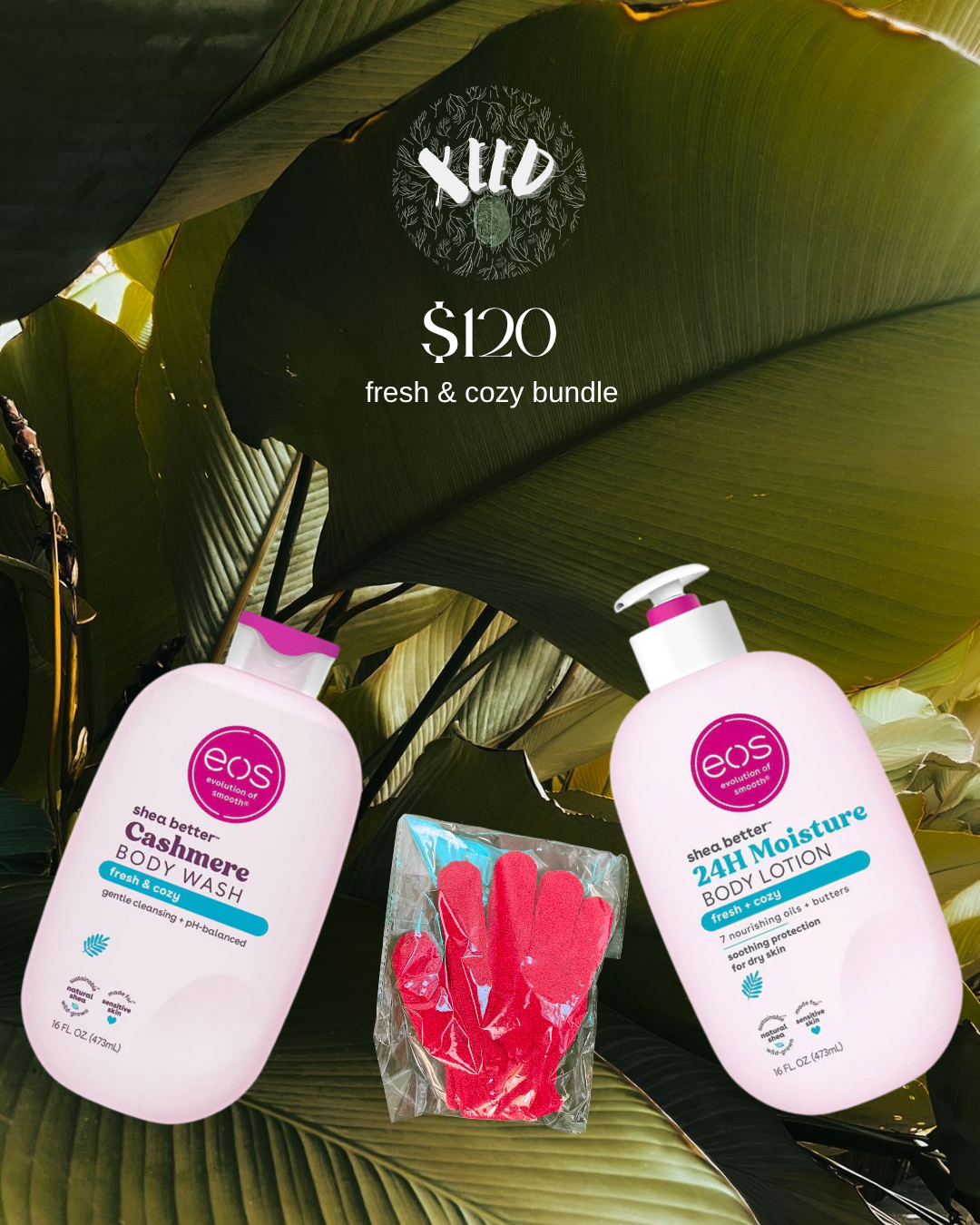 EOS Fresh and Cozy Bundle